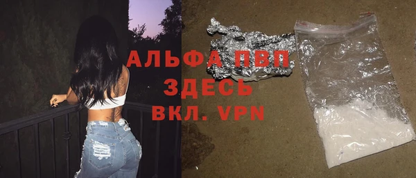 МДПВ Бородино