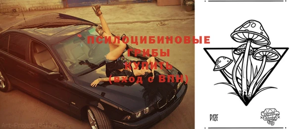 хмурый Бронницы