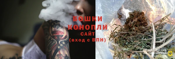 хмурый Бронницы