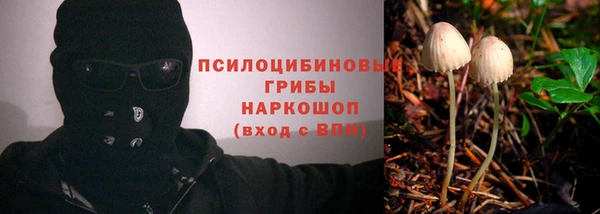 трава Бугульма