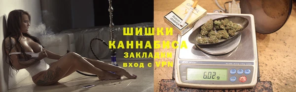 хмурый Бронницы