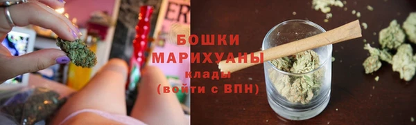 МДПВ Бородино