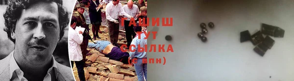 МДПВ Бородино