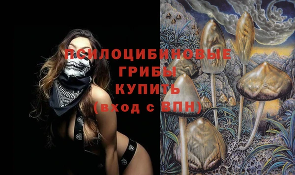 МДПВ Бородино