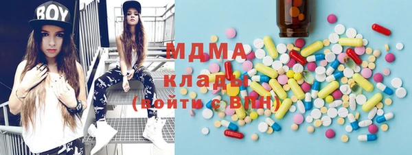 МДПВ Бородино