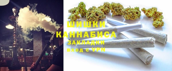 хмурый Бронницы