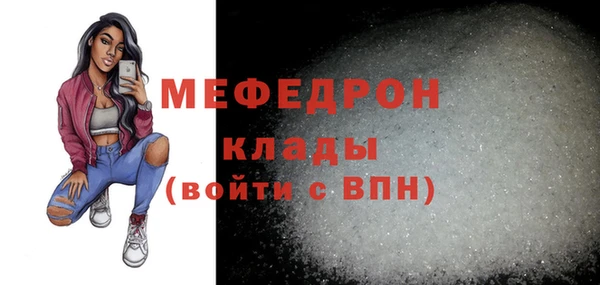 МДПВ Бородино